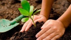 1e8c96ff-bdd7-452f-a850-5091637b9a7f