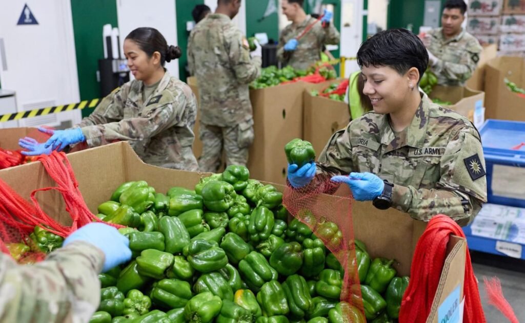 Gobierno de EE.UU. podría reactivar subsidios para alimentos esta semana