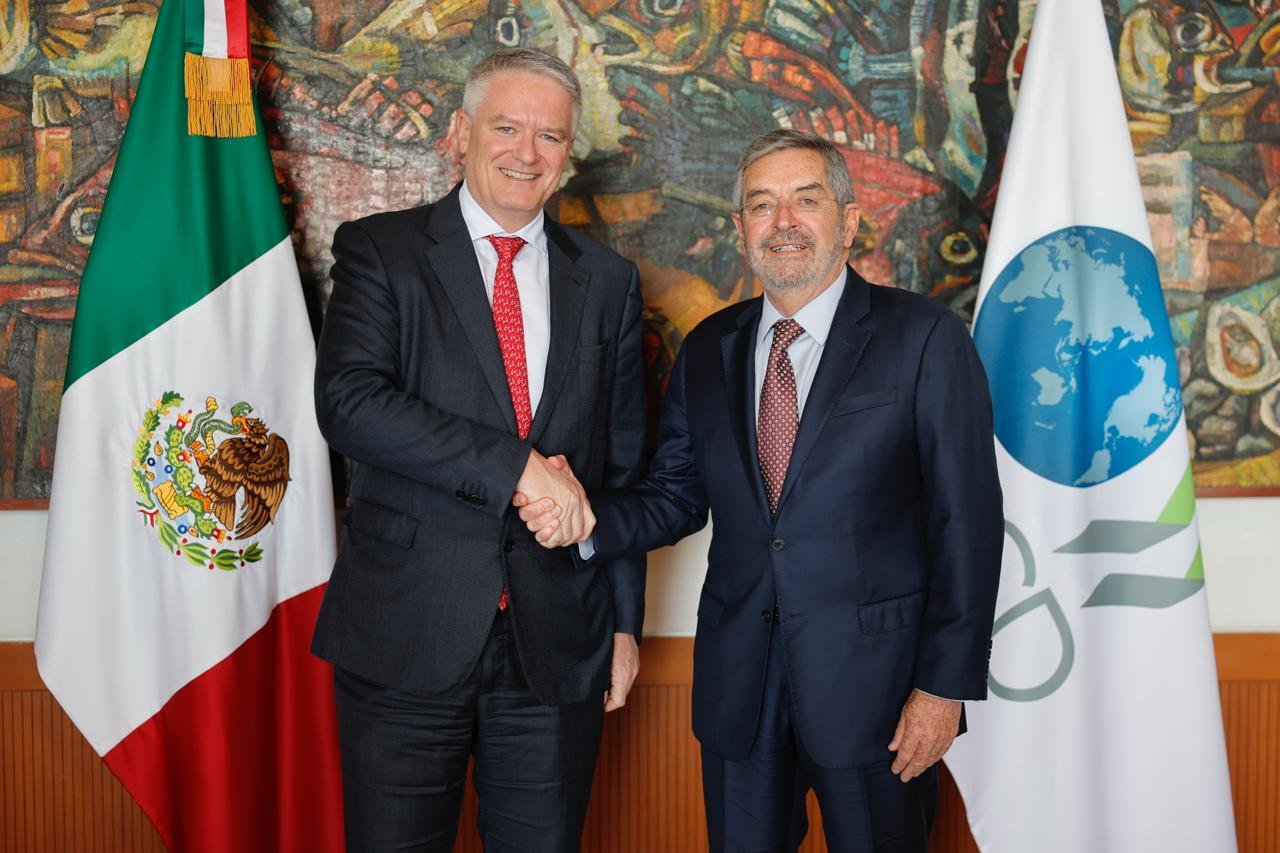 Canciller De la Fuente se reúne con el secretario de la OCDE, Mathias Cormann